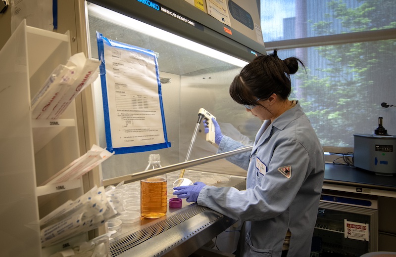 A user works at the Biosafety Cabinets at the Molecular Foundry Organic Facility at Lawrence Berkeley National Laboratory. 05/13/2019, Berkeley, California.